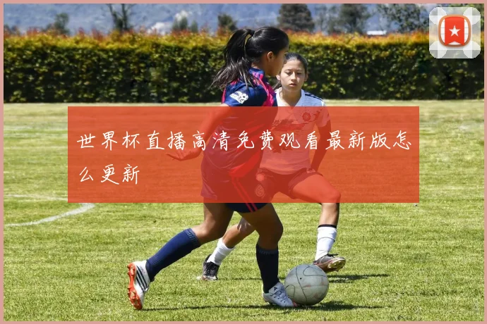世界杯直播高清免费观看最新版怎么更新