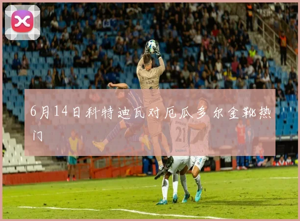 6月14日科特迪瓦对厄瓜多尔金靴热门