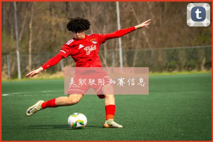 美职联附加赛信息