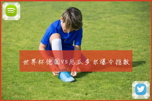 世界杯德国vs厄瓜多尔爆冷指数
