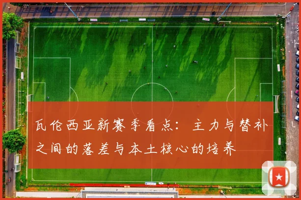 瓦伦西亚新赛季看点：主力与替补之间的落差与本土核心的培养