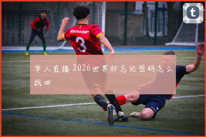 华人直播 2026世界杯忘记密码怎么找回