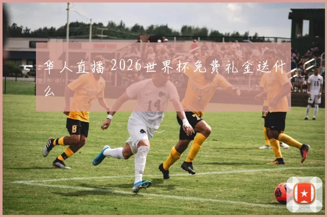华人直播 2026世界杯免费礼金送什么