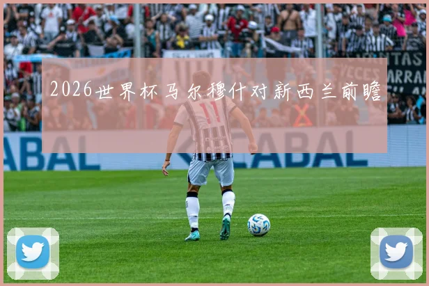 2026世界杯马尔穆什对新西兰前瞻